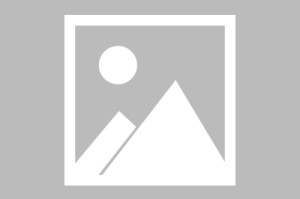  狼堡队长公开批评管理层，矛盾激化引轩然大波  